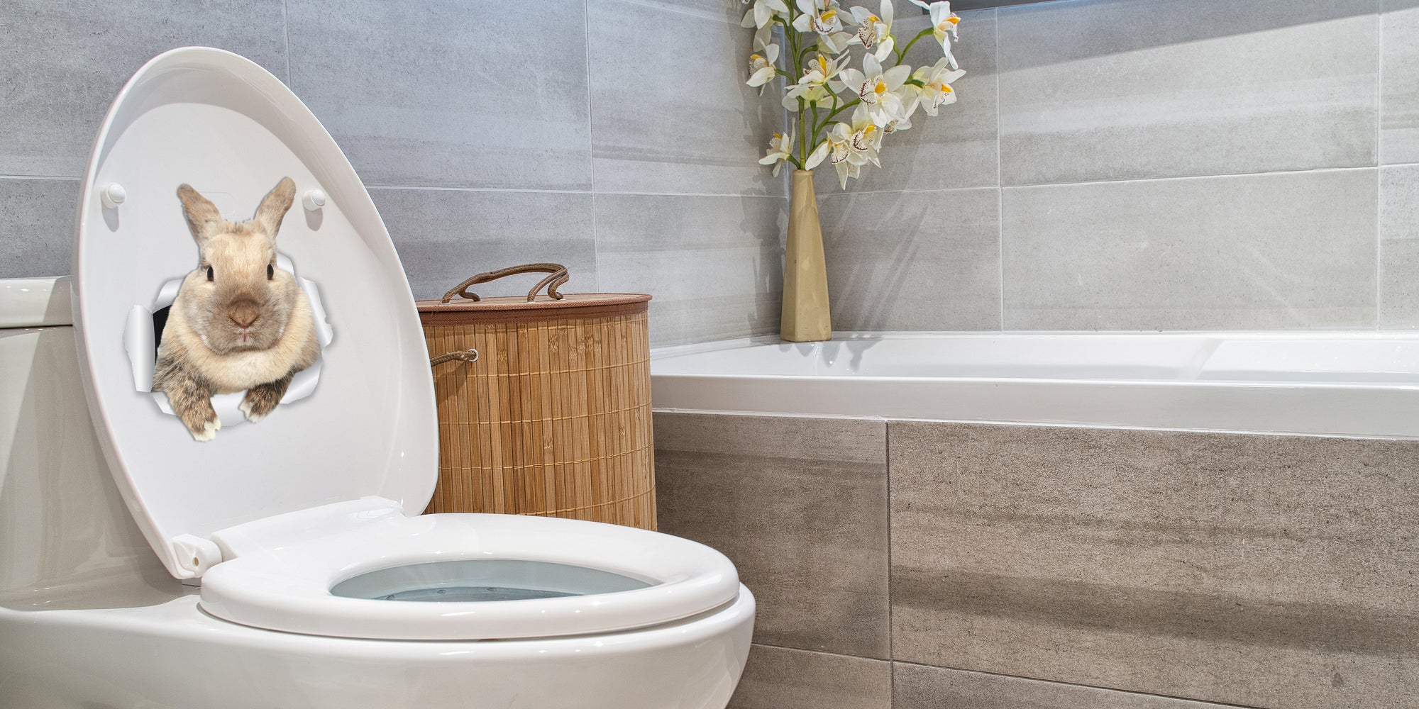 Rascally Rabbit Decals