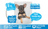 Toy Terrier Puppy Mug