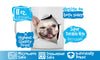 Winking French Bulldog Mug