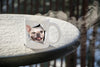 Winking French Bulldog Mug