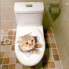 Playful Cat Decals