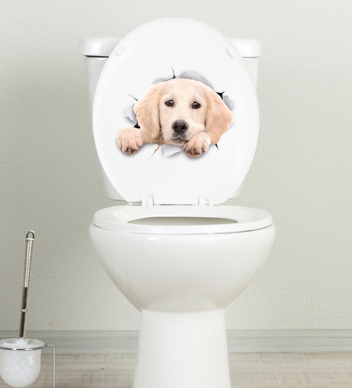 Peeking Labrador Decals